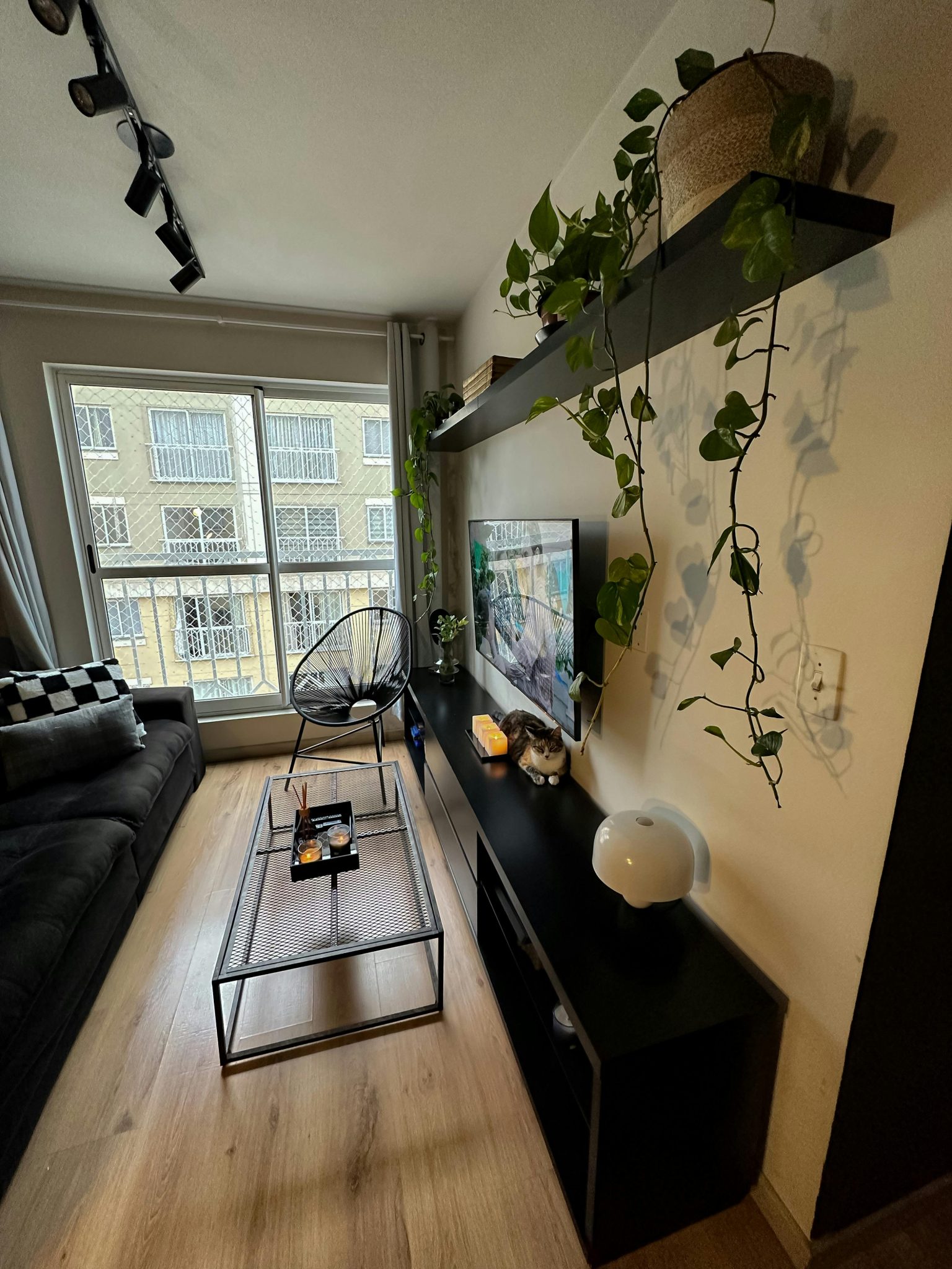 Stylish living room interior with natural light, indoor plants, and contemporary furniture.