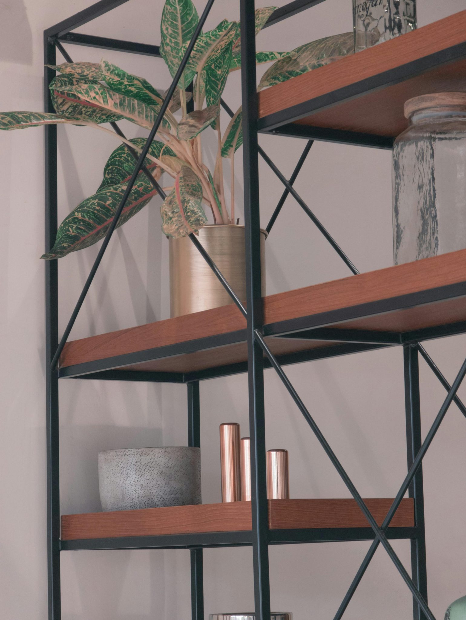 Stylish minimalist shelving unit with a potted plant and decorative items, perfect for modern interiors.