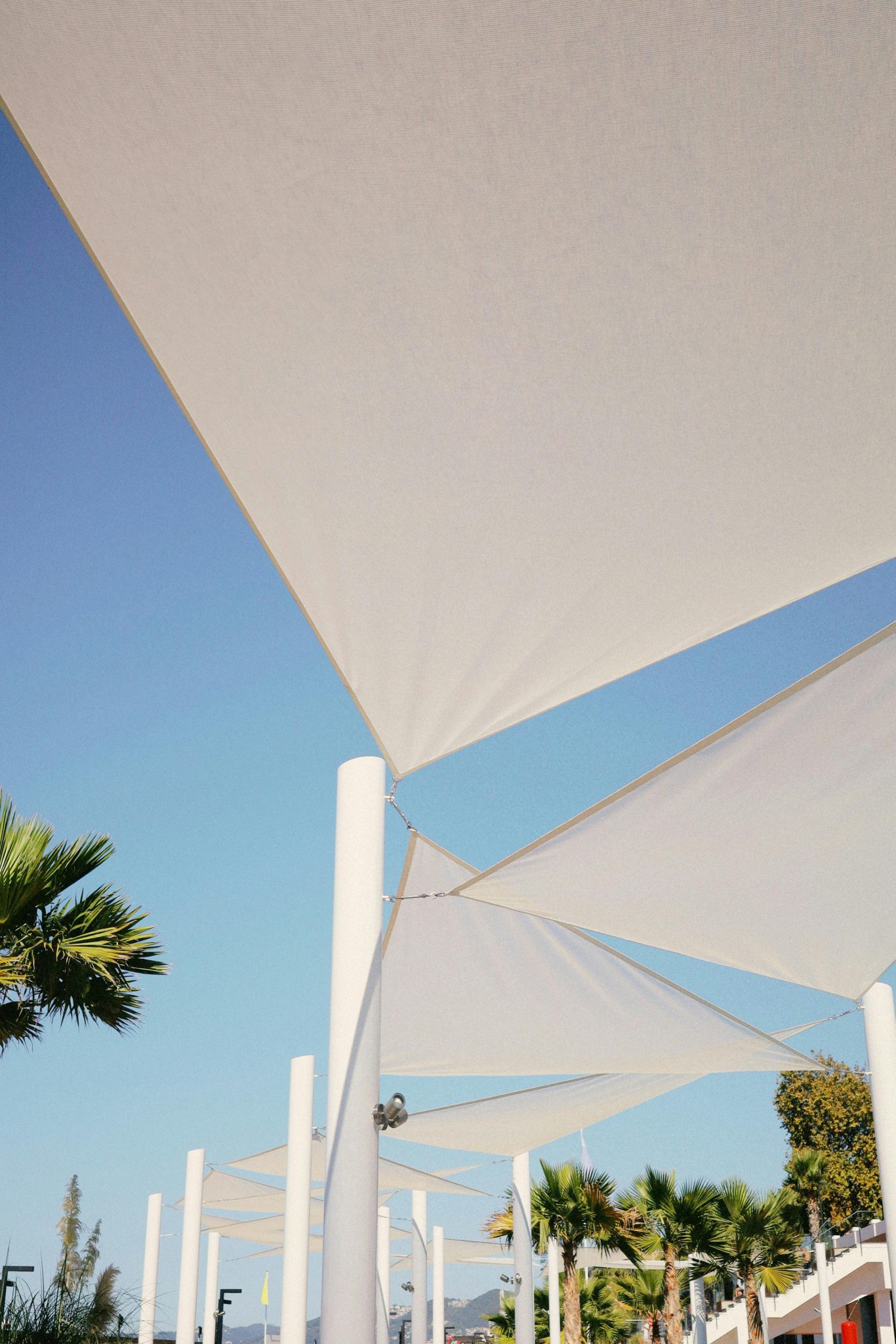 Stylish outdoor sunshades under a clear blue sky with palm trees.