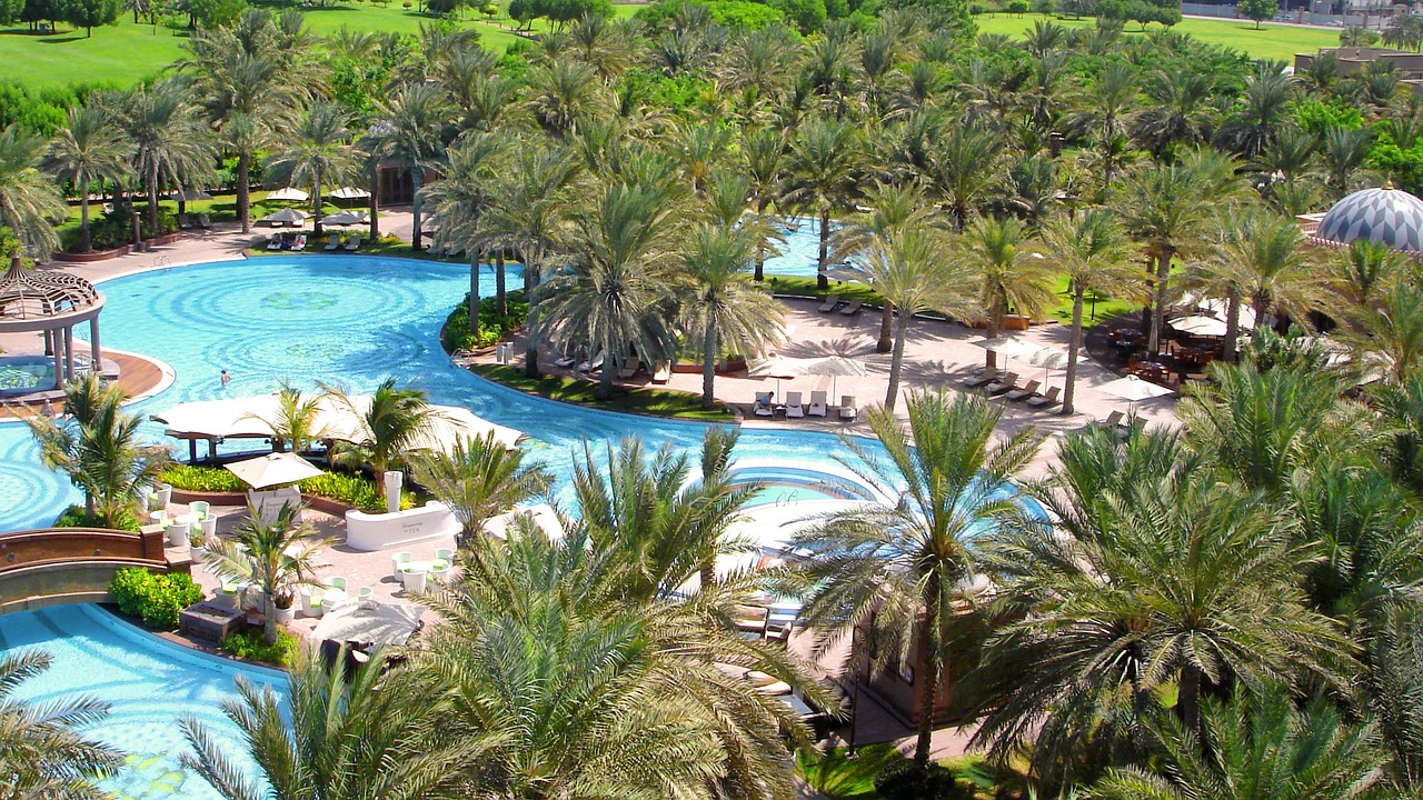 swimming pool, palm trees, garden, water, relax, nature, hotel complex, abu dhabi, spa pool