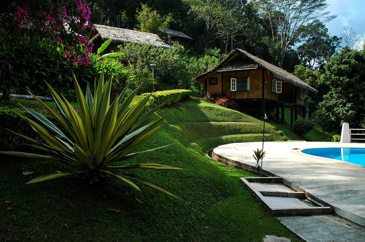 swimming pool, woodhouse, agave, gardens, swimming pool, agave, agave, agave, agave, agave