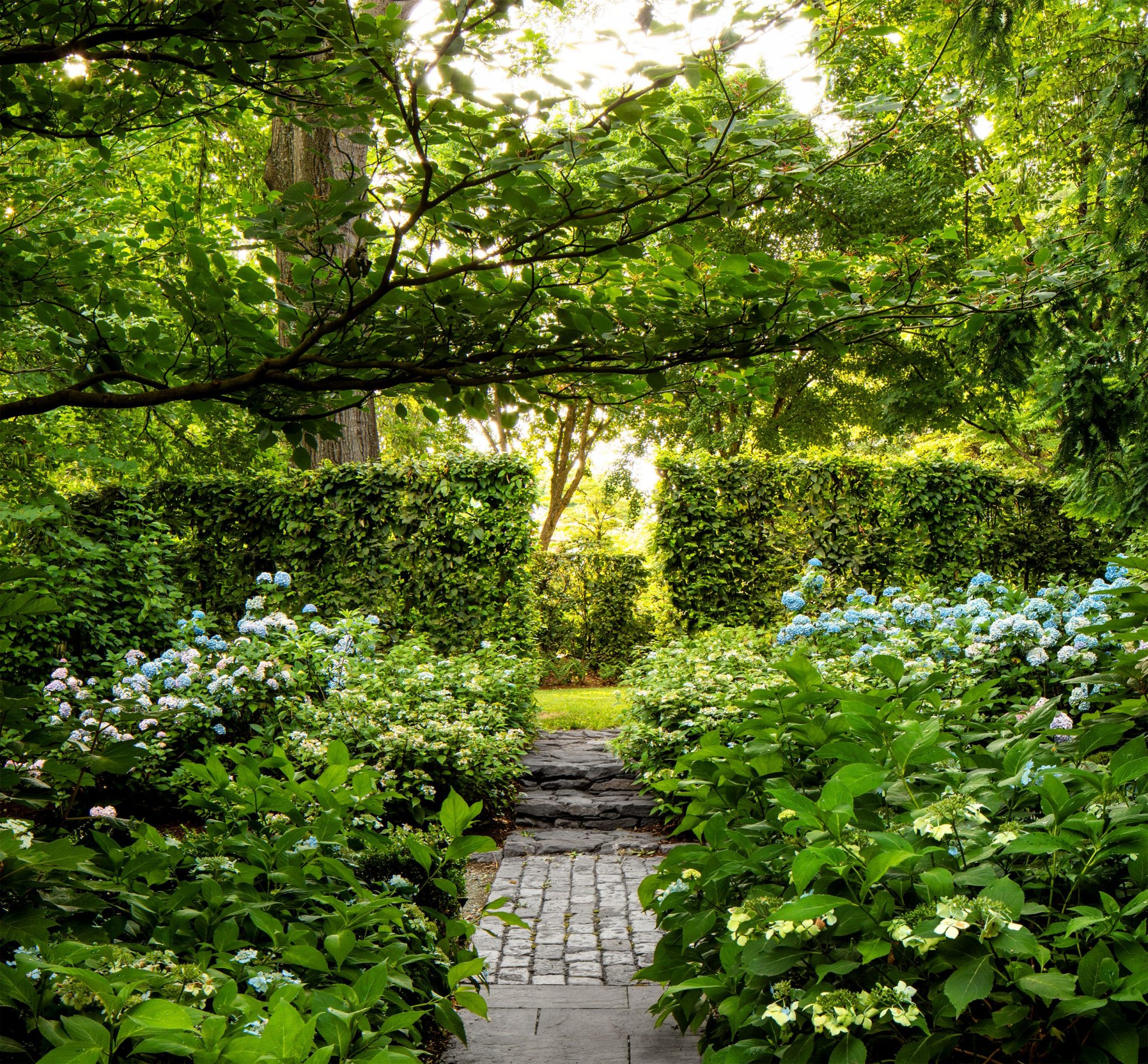 The 5 Biggest Low-Maintenance Gardening Trends of 2026, According to Experts