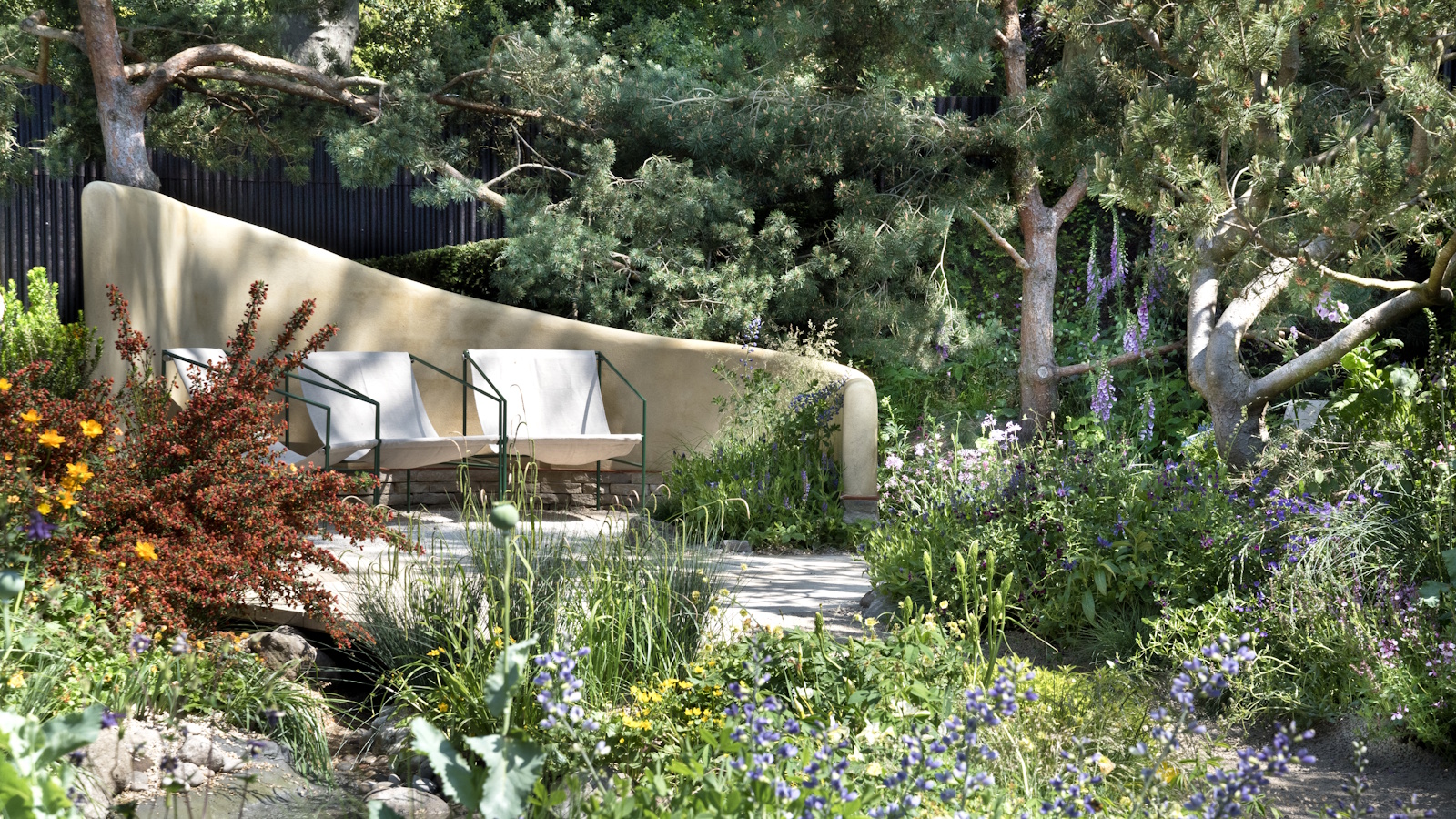 These are the 7 plants I predict will be trending in 2026 | Homes and Gardens