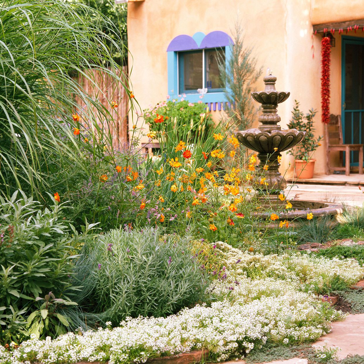 This Drought-Tolerant Garden Plan Saves Water and Time