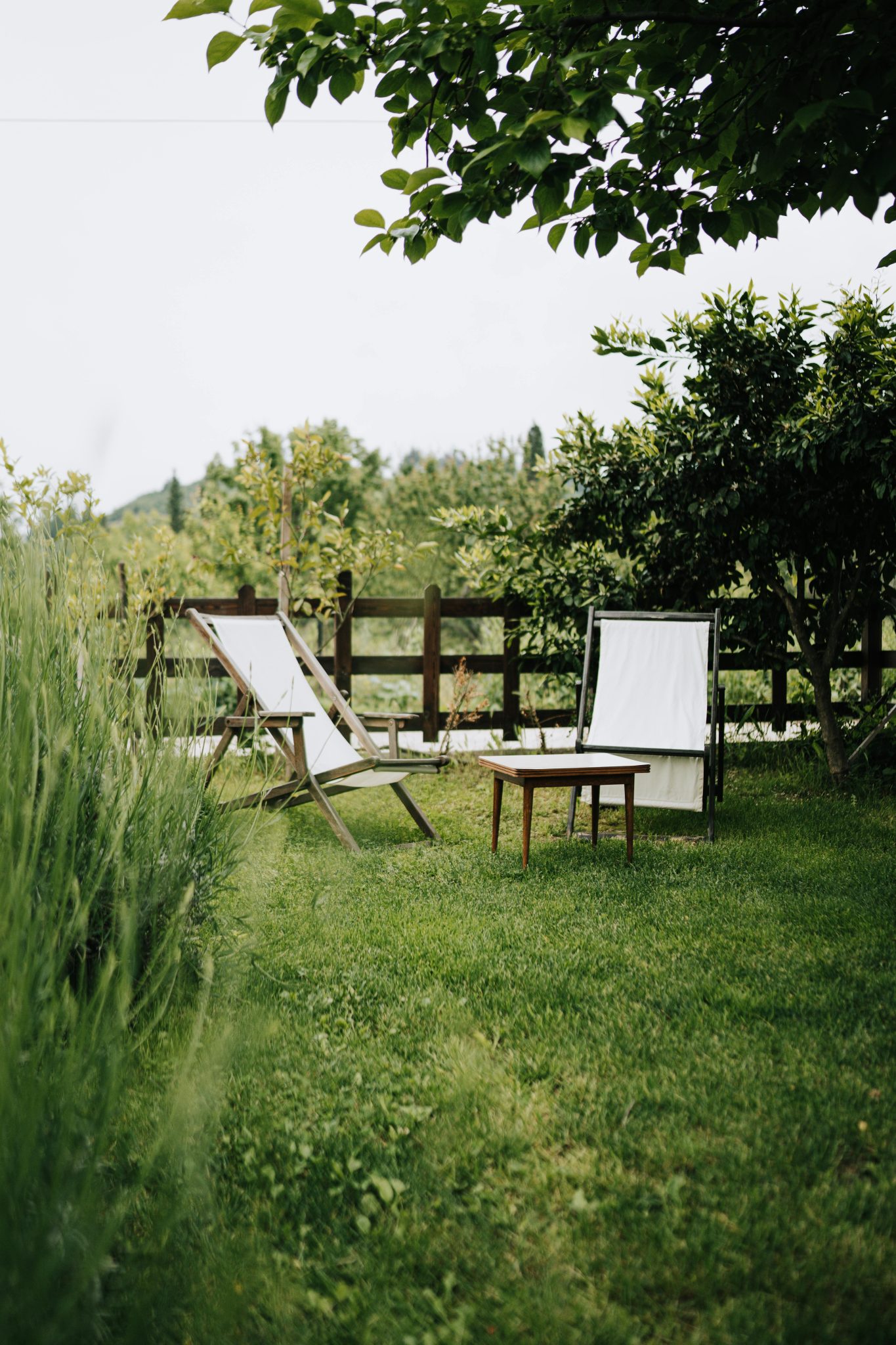 Tranquil garden scene with lounge chairs, perfect for outdoor relaxation.