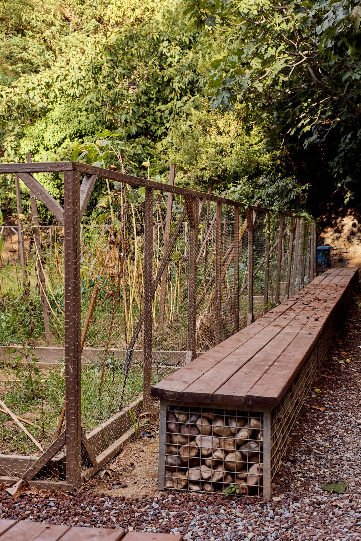 Tranquil garden setting in İstanbul featuring a fenced area and wooden benches under lush greenery.