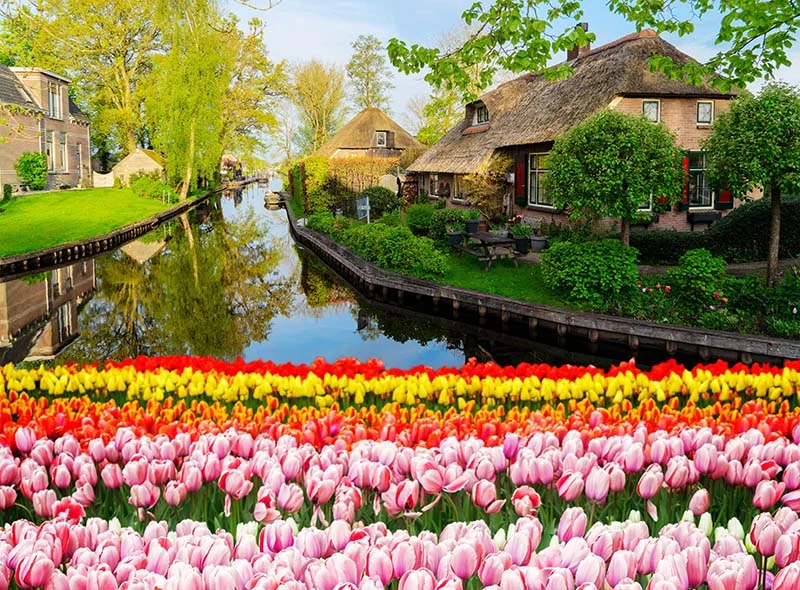 TULIP TIME IN THE NETHERLANDS - BELGIUM 2026 | Solo Travel For Women | Sisterhood Travels Group Tours