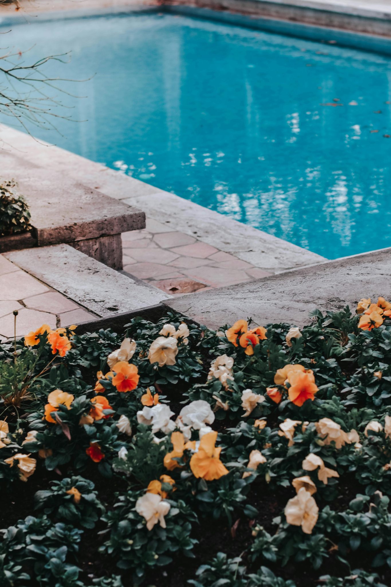 Vibrant flowers bloom next to a serene swimming pool in an outdoor setting.