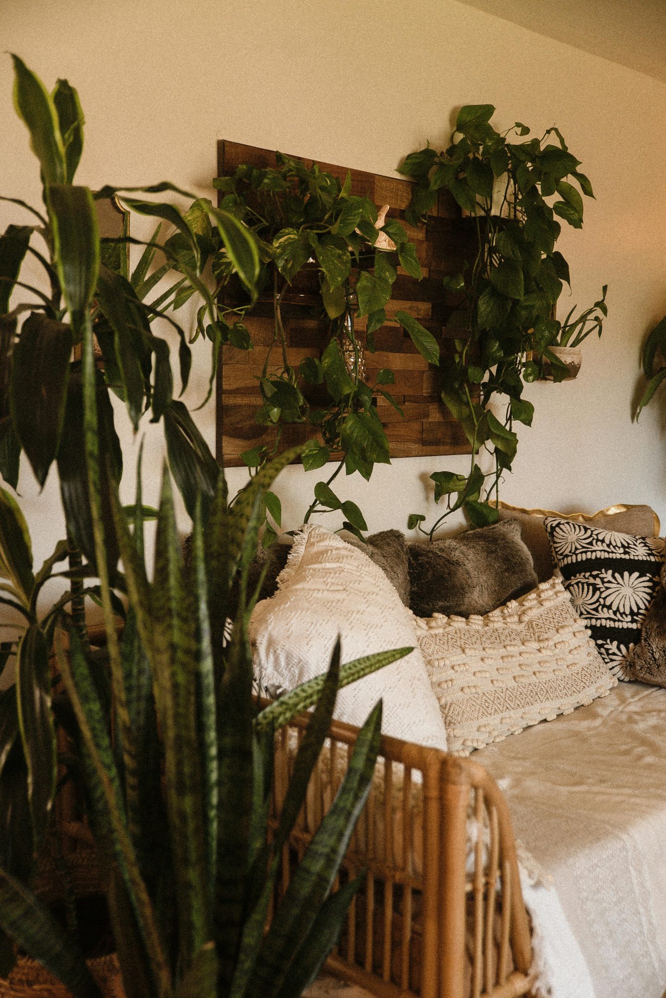 Warm and inviting living room featuring potted plants, a comfy sofa, and elegant decor.