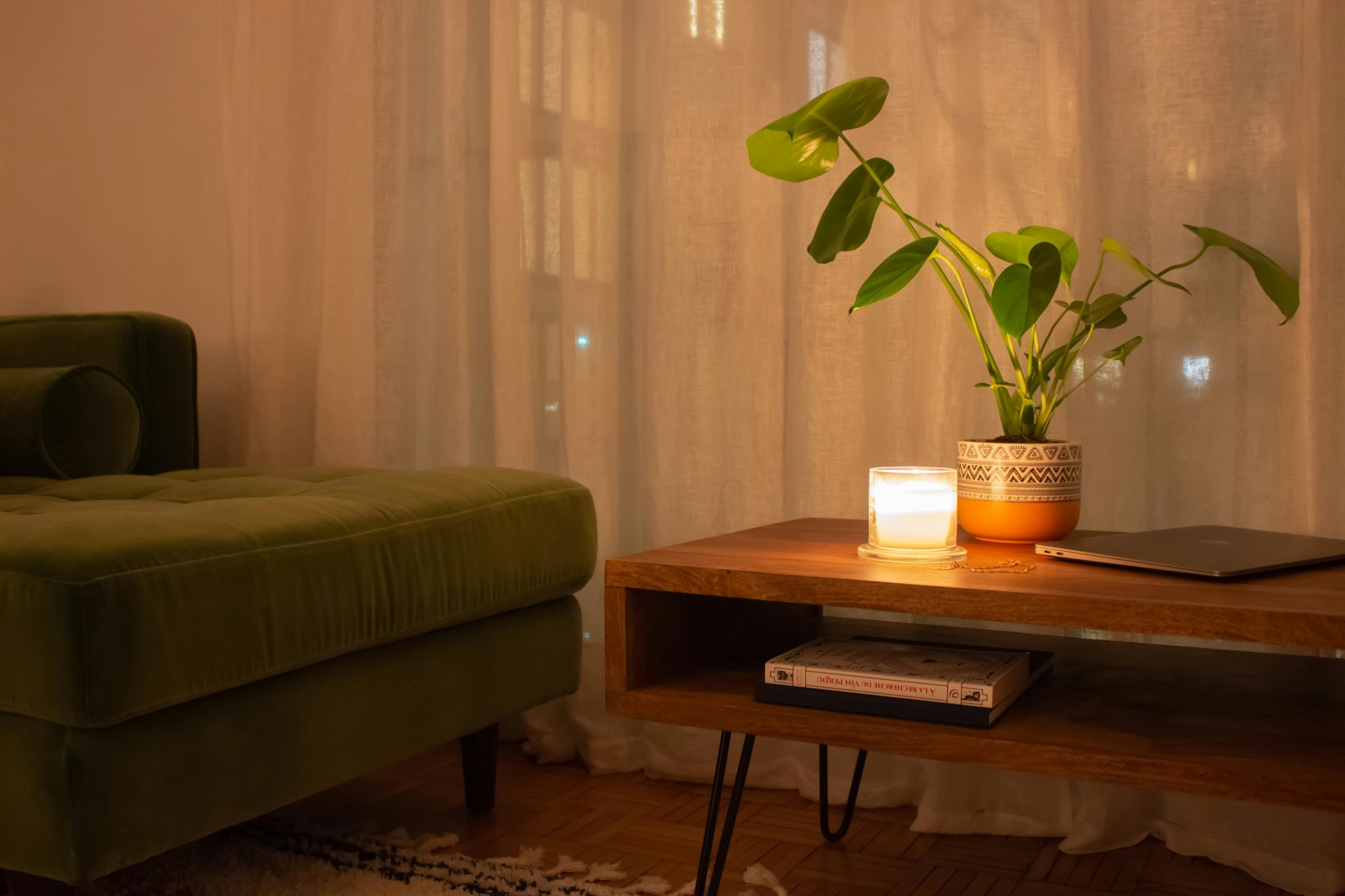 Warm and inviting living room with a candle, green sofa, and potted plant on a wooden table.