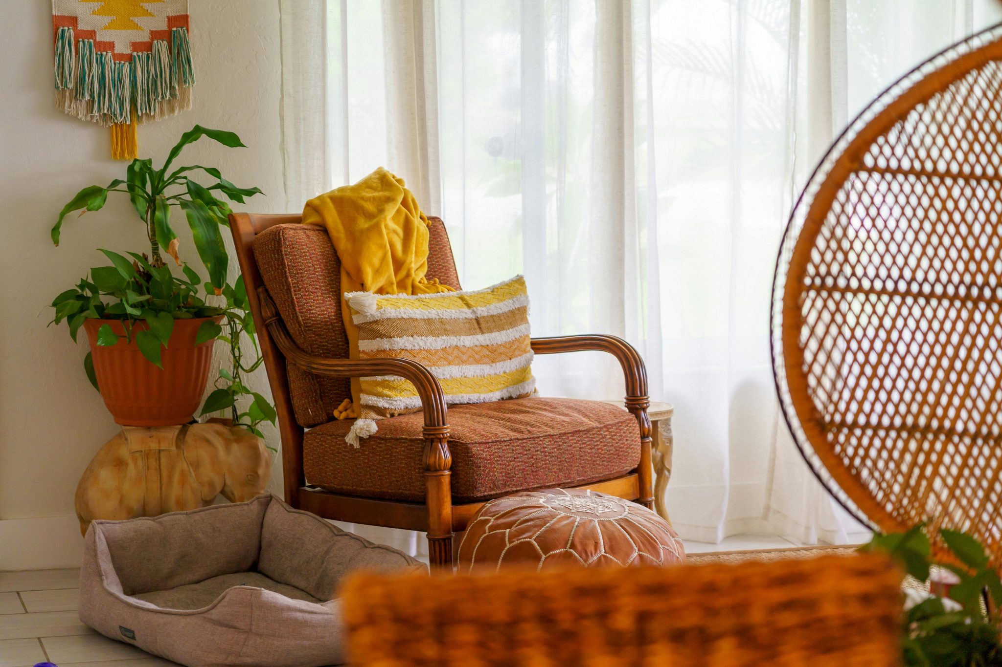 Warm and inviting living space featuring an armchair, indoor plant, and casual decor.