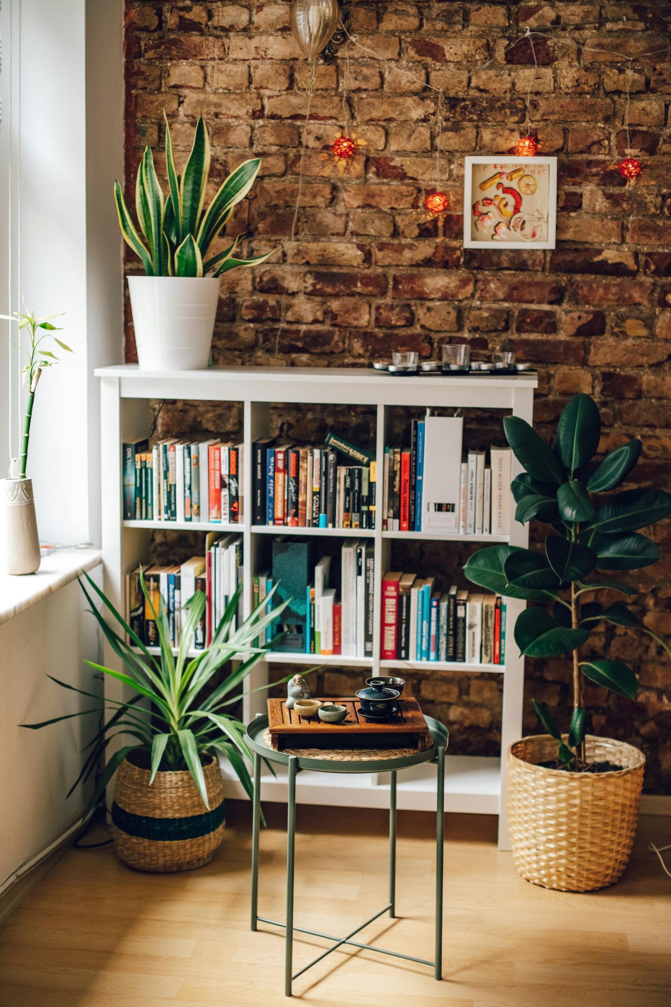 Warm and inviting reading corner featuring a bookshelves, houseplants, and rustic brick wall.