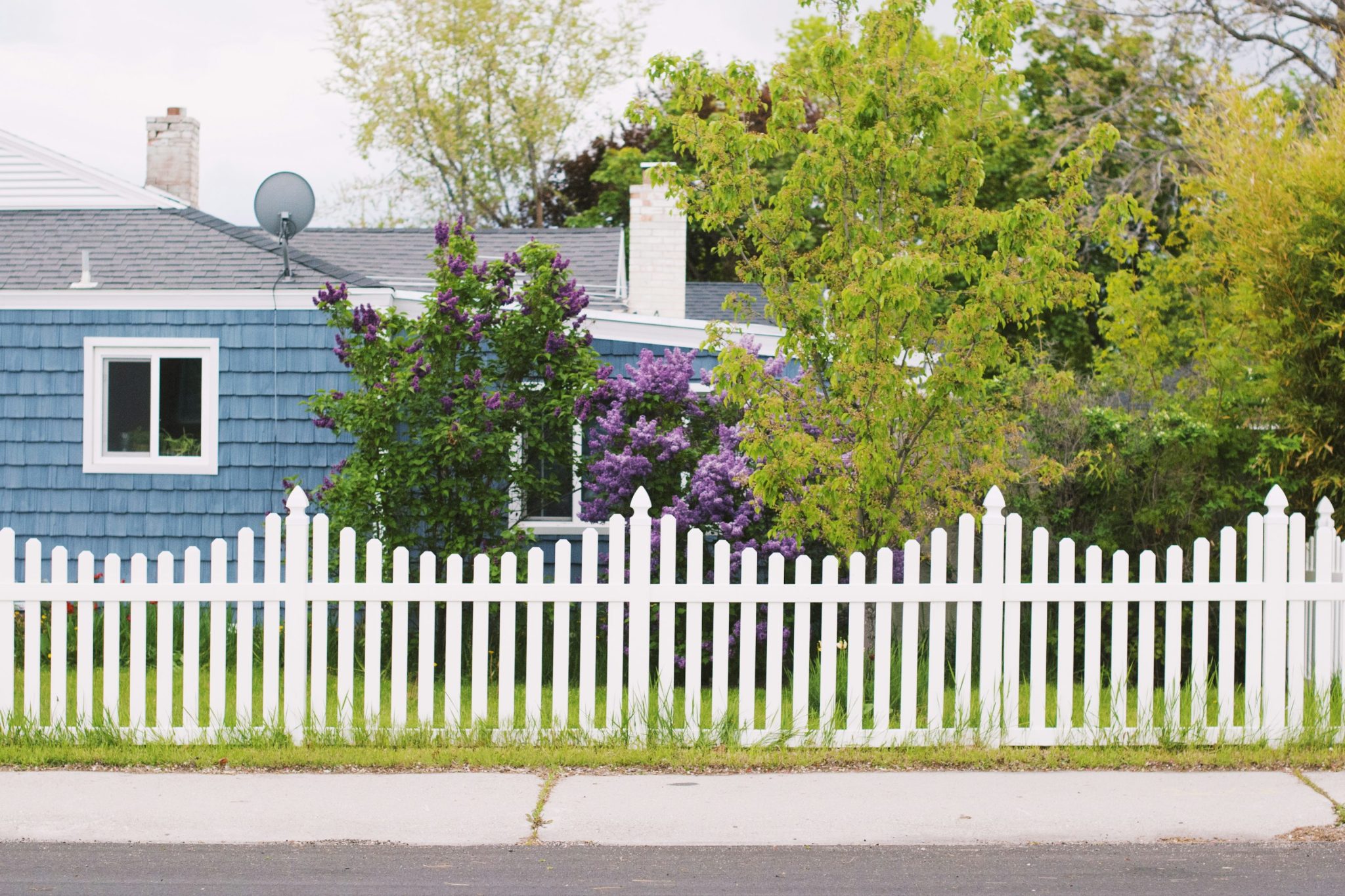 White wooden fence near green trees during daytime photo – Free Summer Image on Unsplash