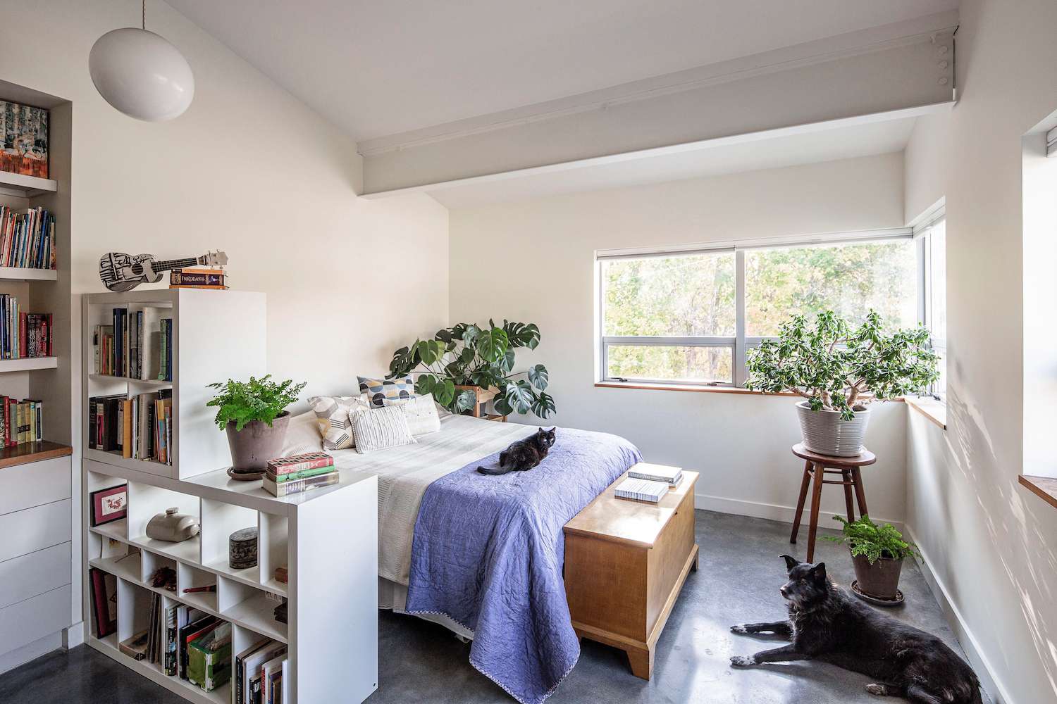 23 Stylish Ways to Divide a Room With Bookshelves