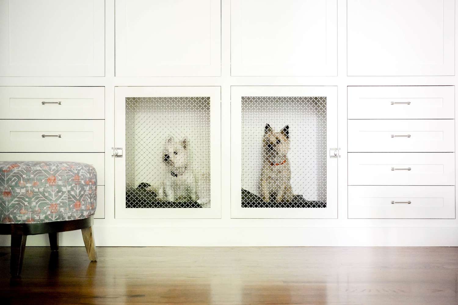 28 Dog Room Ideas You and Your Best Friend Will Love