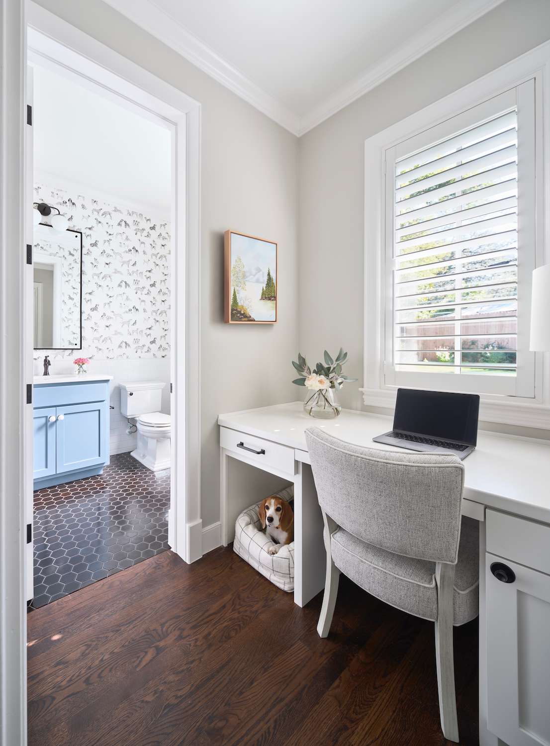 28 Dog Room Ideas You and Your Best Friend Will Love