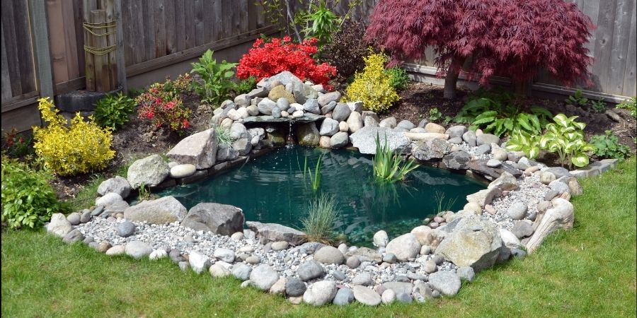 5 Backyard Fish Pond Ideas to Inspire Your Backyard Makeover | Living Trees & Shrubs Katy Fulshear