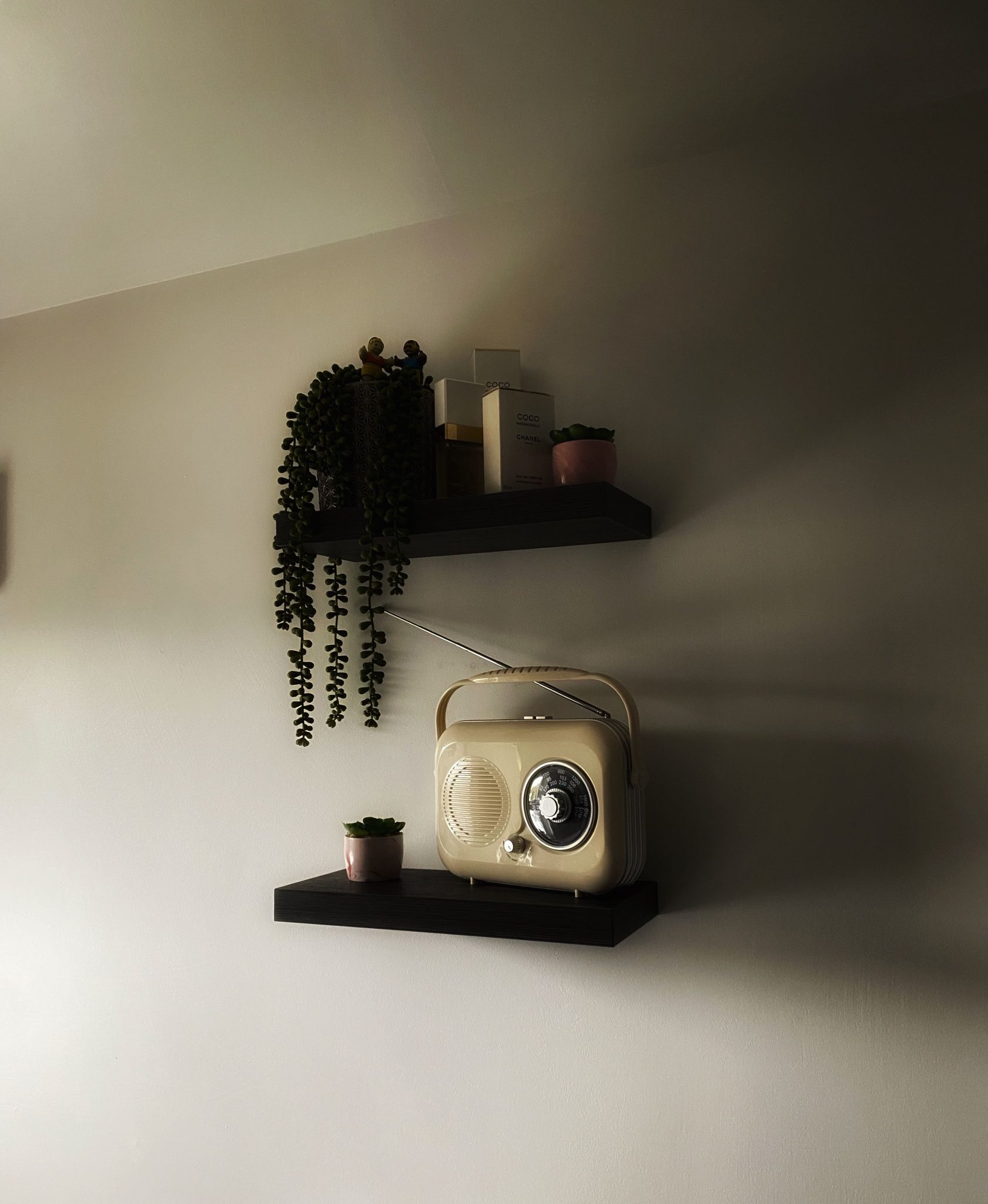 A classic vintage radio on minimalist shelves with potted plants providing a cozy interior vibe.
