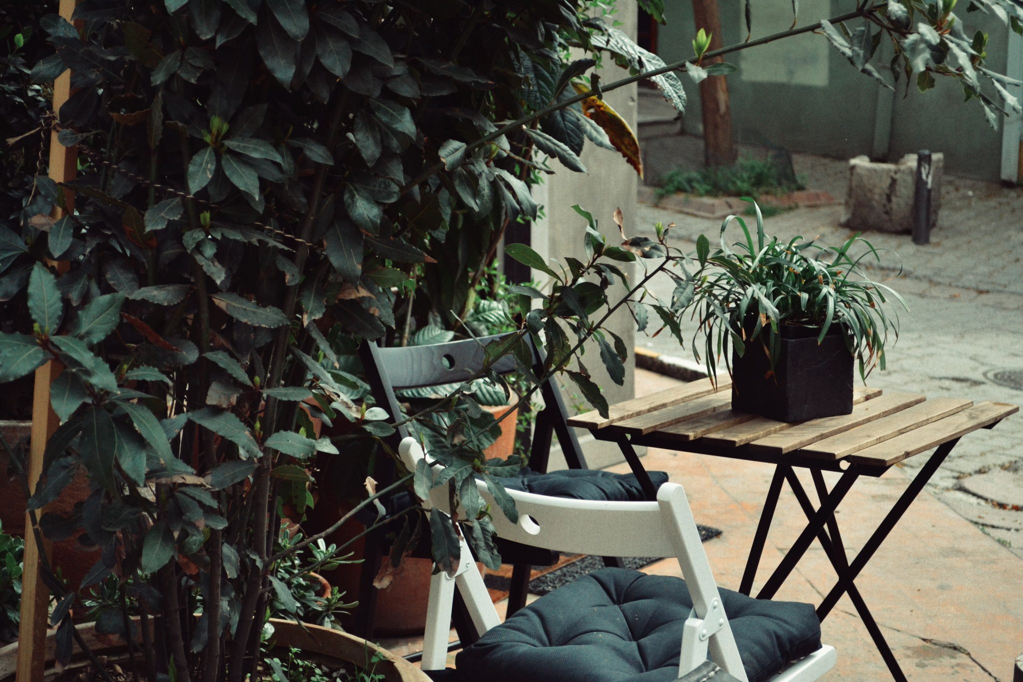A tranquil outdoor garden setting featuring wooden furniture and lush green plants.