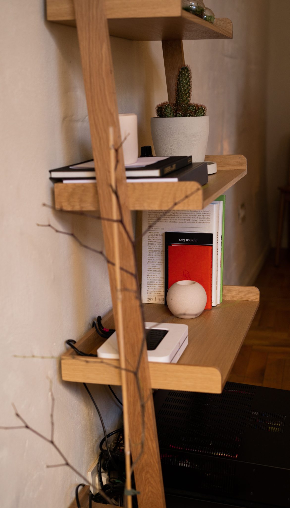 A wooden shelf decorated with a cactus, books, and decor in a cozy indoor space.