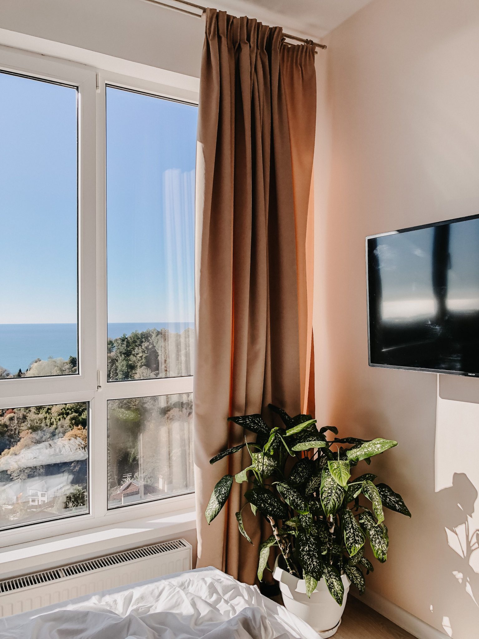 Bright hotel room in Sochi with ocean view, potted plant, and modern decor.