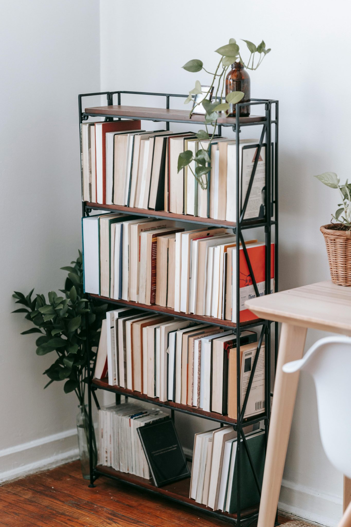 Collection of various books on shelves of bookcase placed near table and chair in light room decorated with green plants