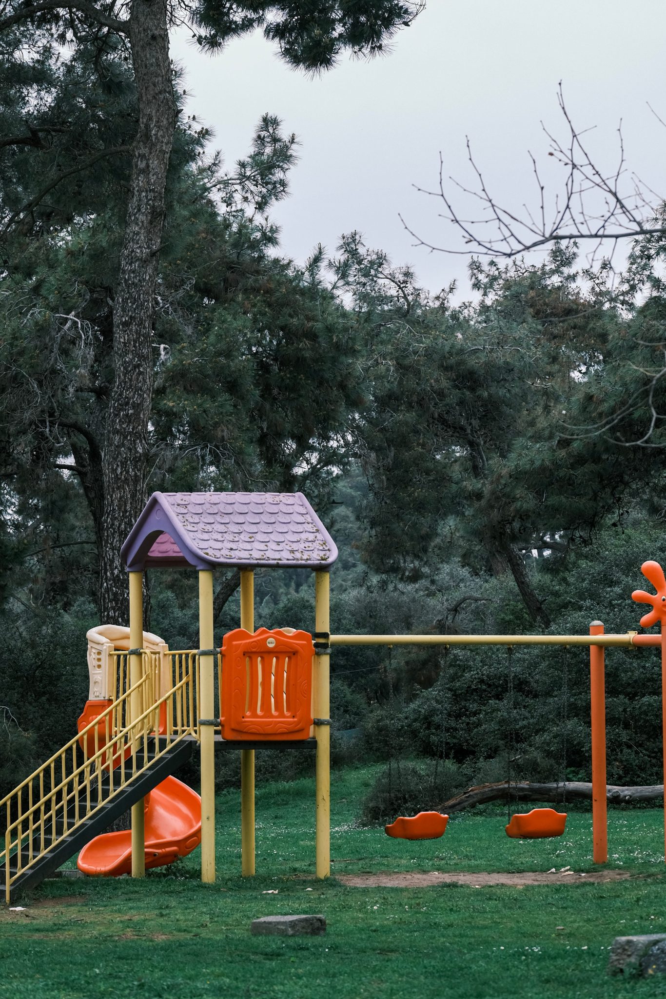 Colorful playground equipment surrounded by lush greenery, creating a fun and inviting park atmosphere.