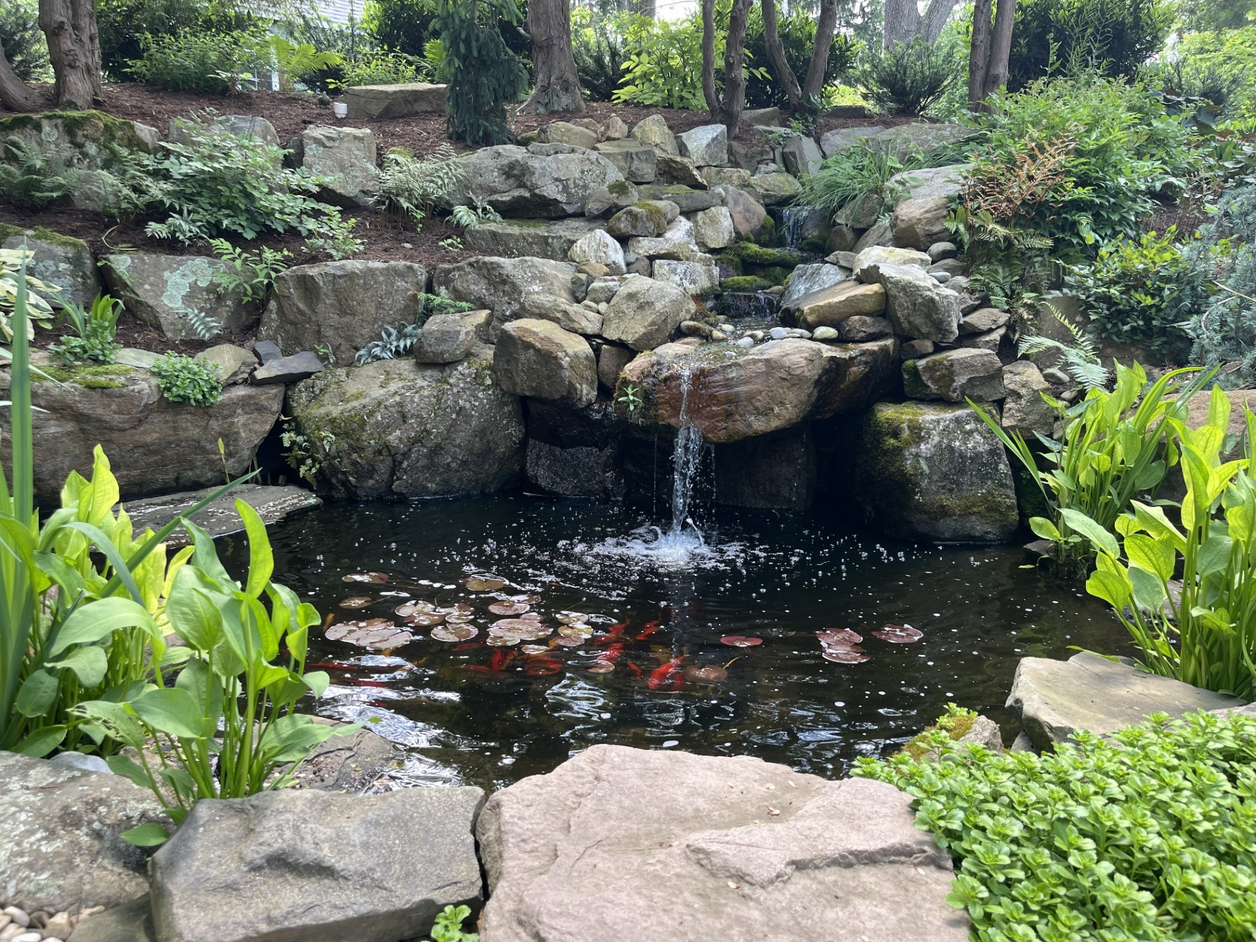 Custom Koi Ponds, Waterfalls & Water Features | AquaReale