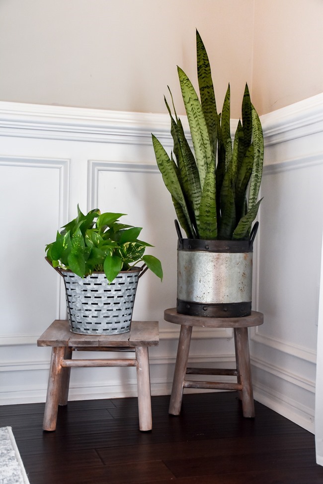 DIY plant stand from upcycled thrifted bar stool