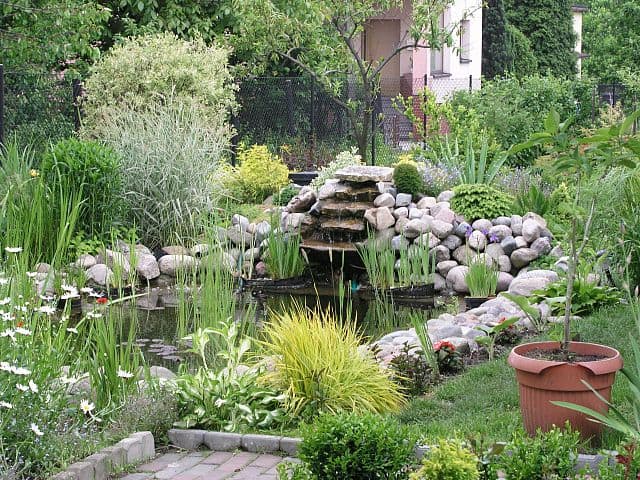 Garden Design: Building a Garden Pond * Big Blog of Gardening