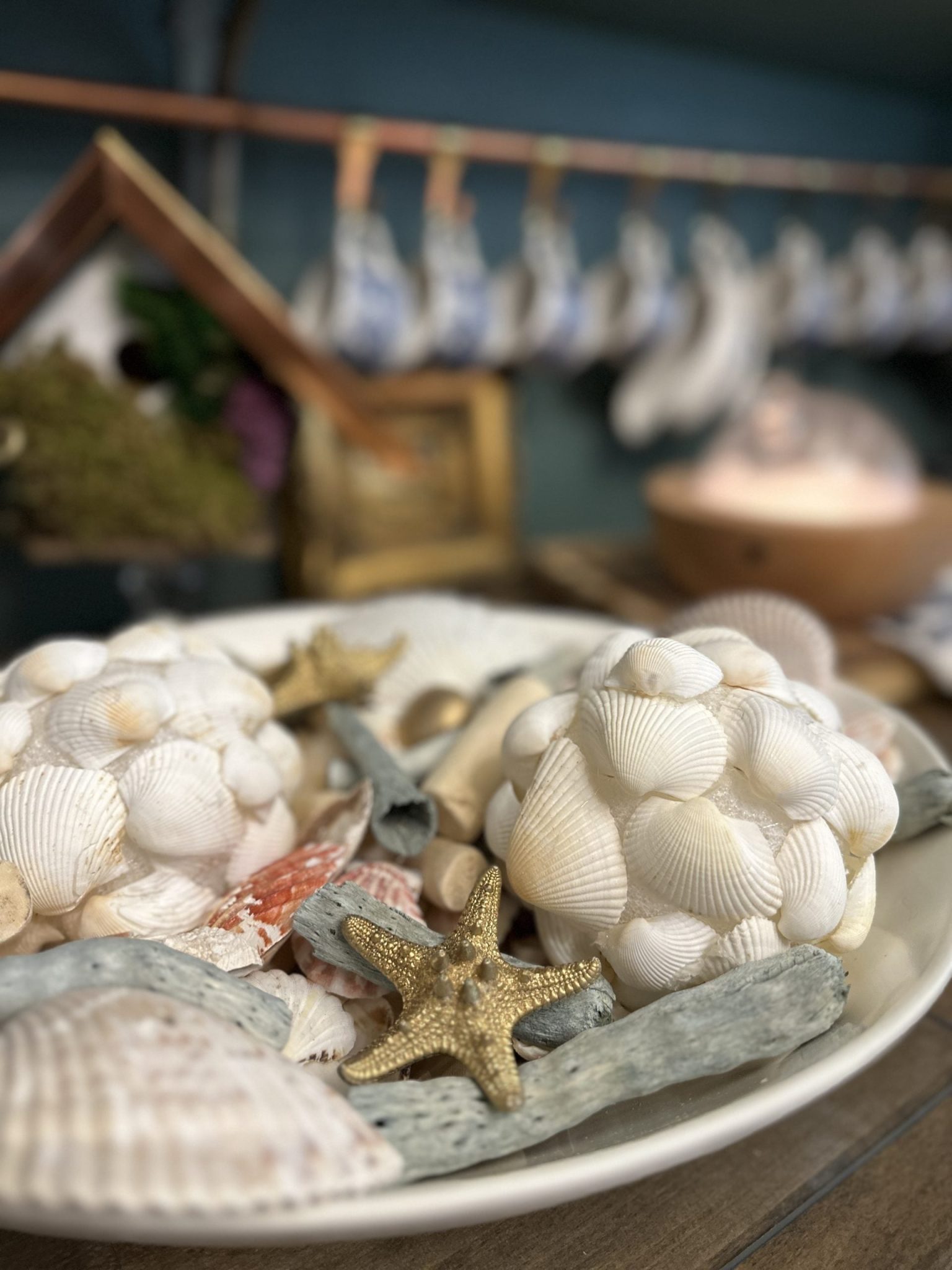 How To Make DIY Coastal Decor with Dollar Tree Seashells Story - Amy Sadler Designs