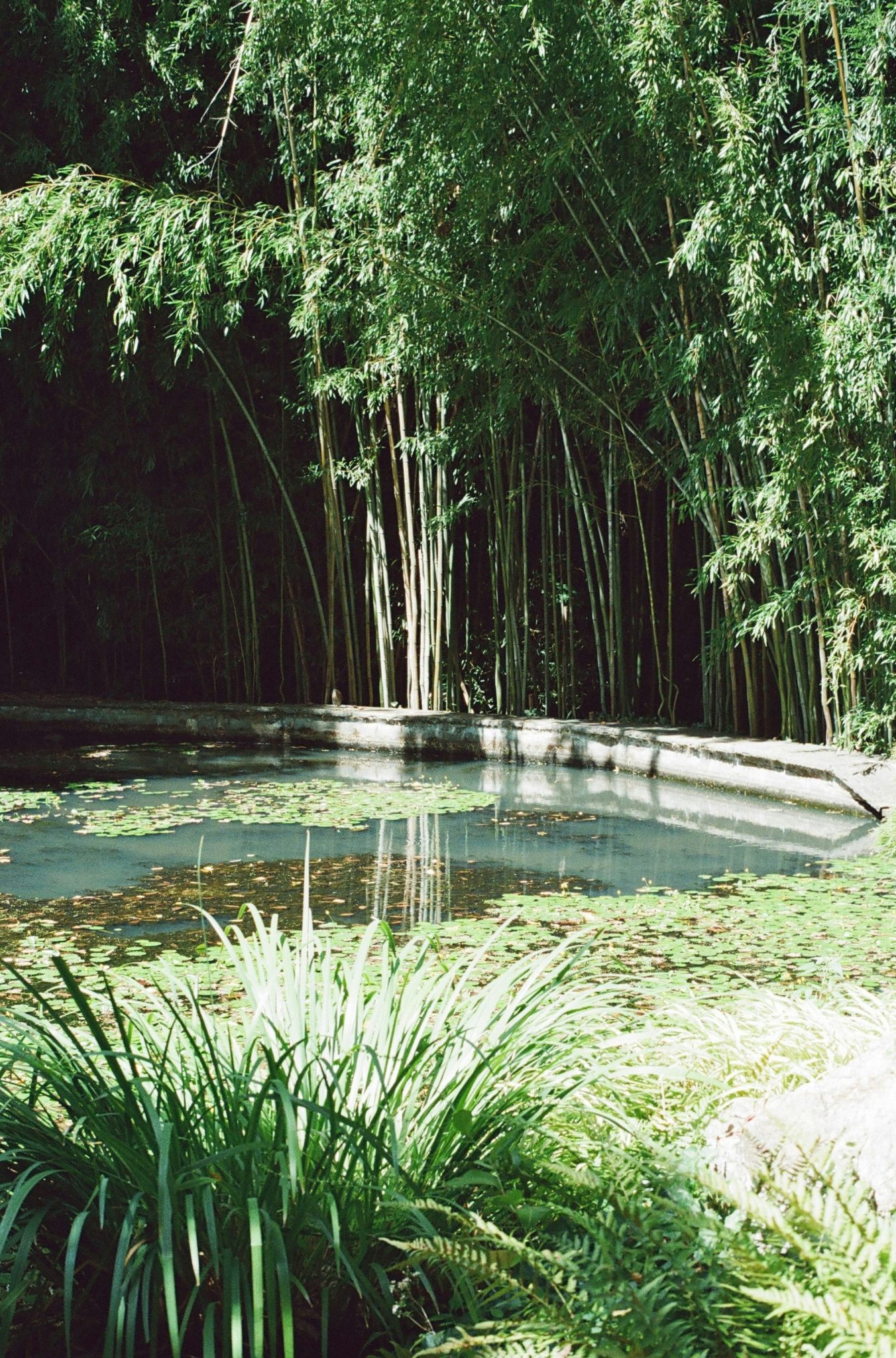 John P Humes Japanese Stroll Garden