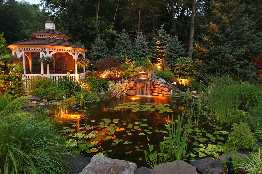 Koi Pond Design & Maintenance - Landscaping Network