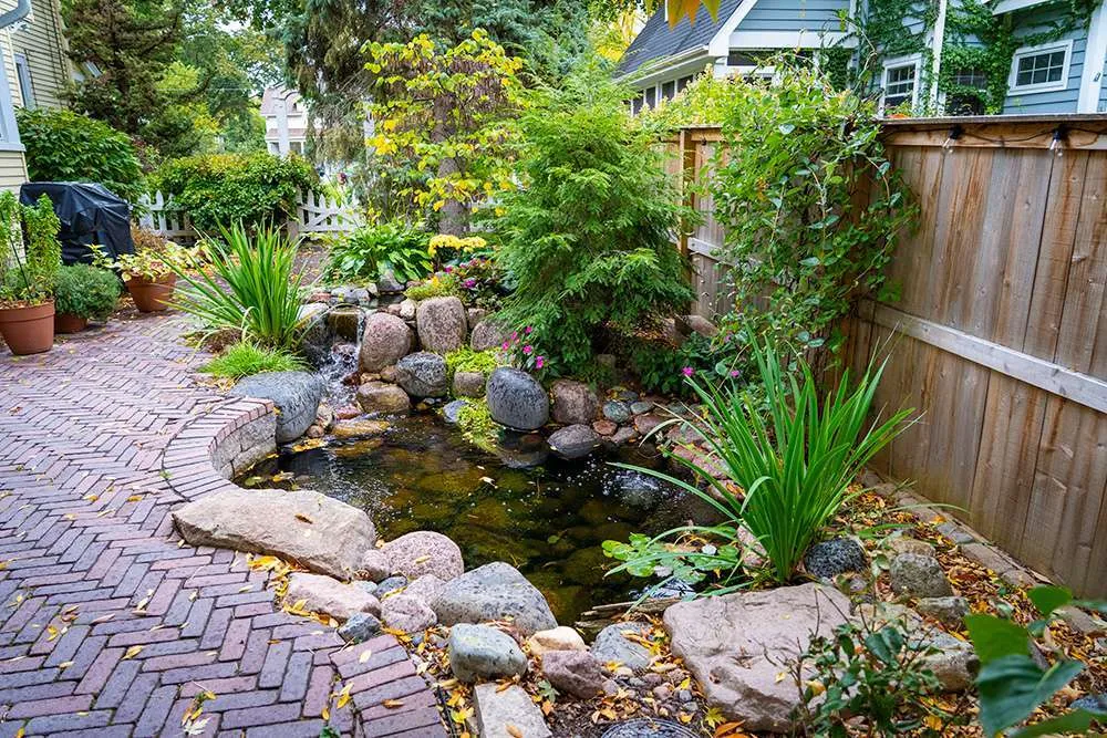 Koi Ponds, Water Features | Pond Design & Pond Cleaning