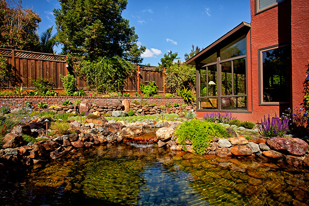 Large Landscape Installation with Koi Pond and Stream – San Jose - Pond Magic - Custom Ponds, Waterfalls, Landscaping for Santa Cruz, Monterey, San Jose, Santa Clara and San Francisco