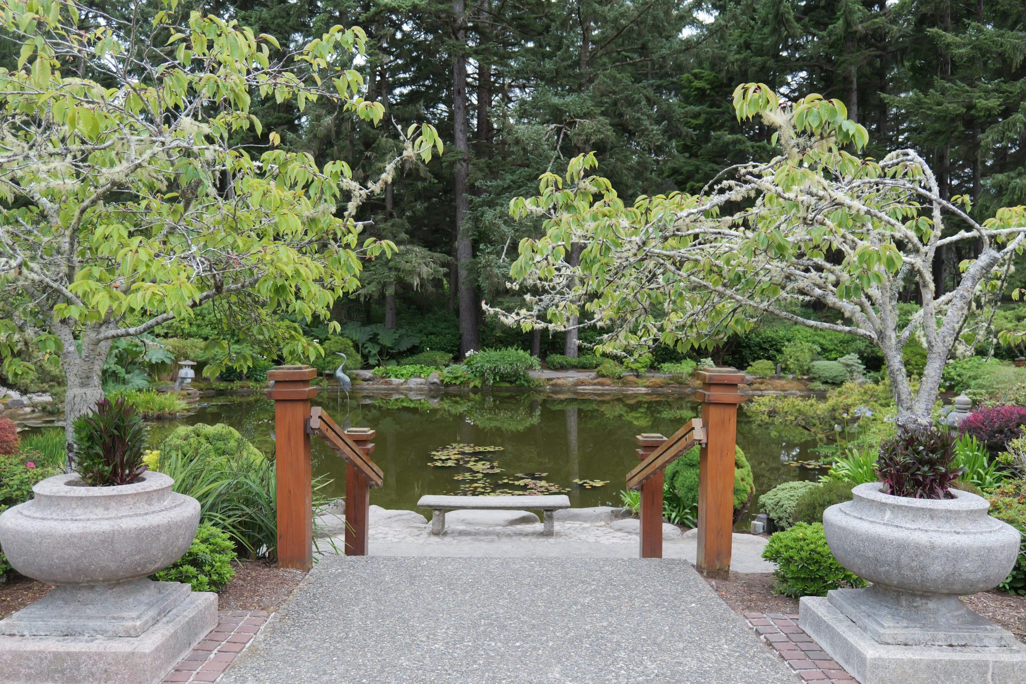 Peaceful Zen garden featuring a tranquil pond, lush greenery, and a wooden bench for relaxation.