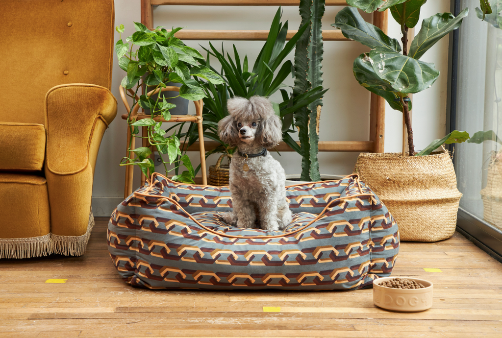 Sustainable Pet Perfection: A Must-Have for Pet-Friendly Homes – Poodle & Blonde