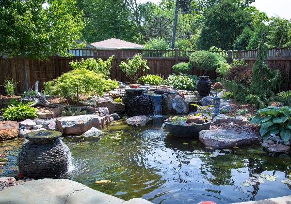 The Role of Water Features in Feng Shui Garden Design