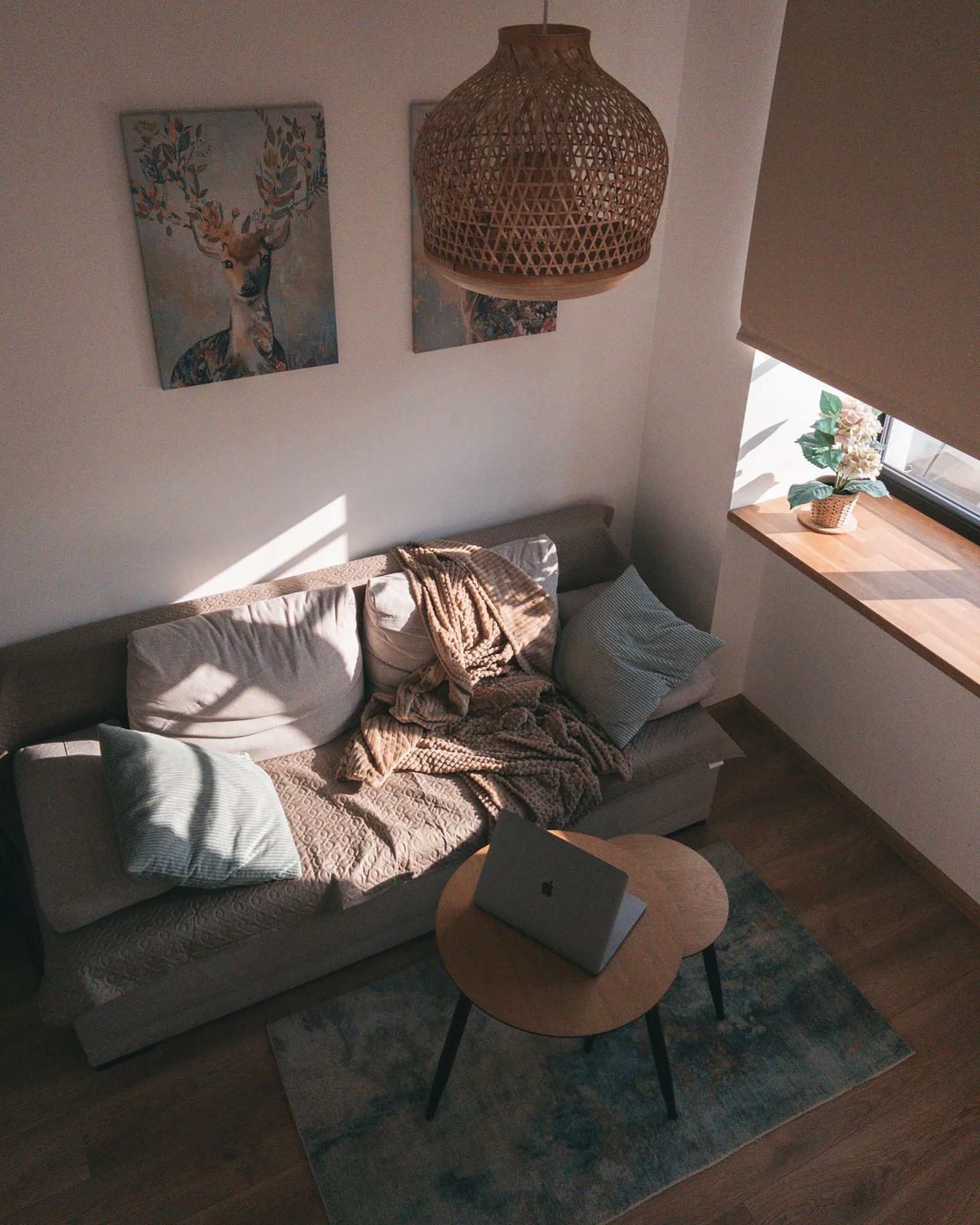 Warm and inviting living room interior featuring a sofa, pillows, and a laptop on a coffee table near natural light.