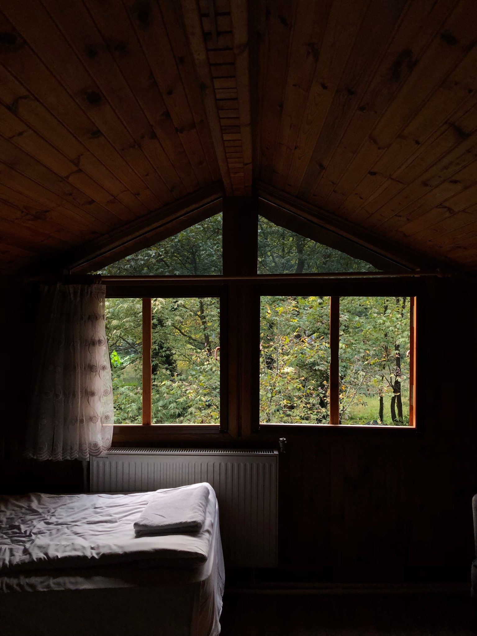 Warm wooden cabin interior with a serene forest view through a large window.