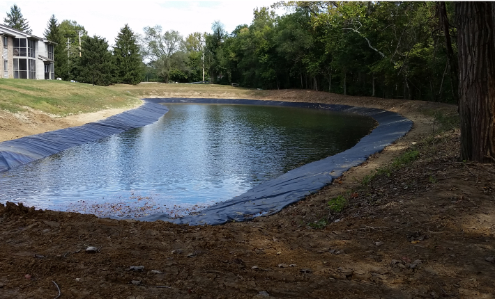 What Is the Best Fish for Your Farm Pond? Tips To Stock Your Pond