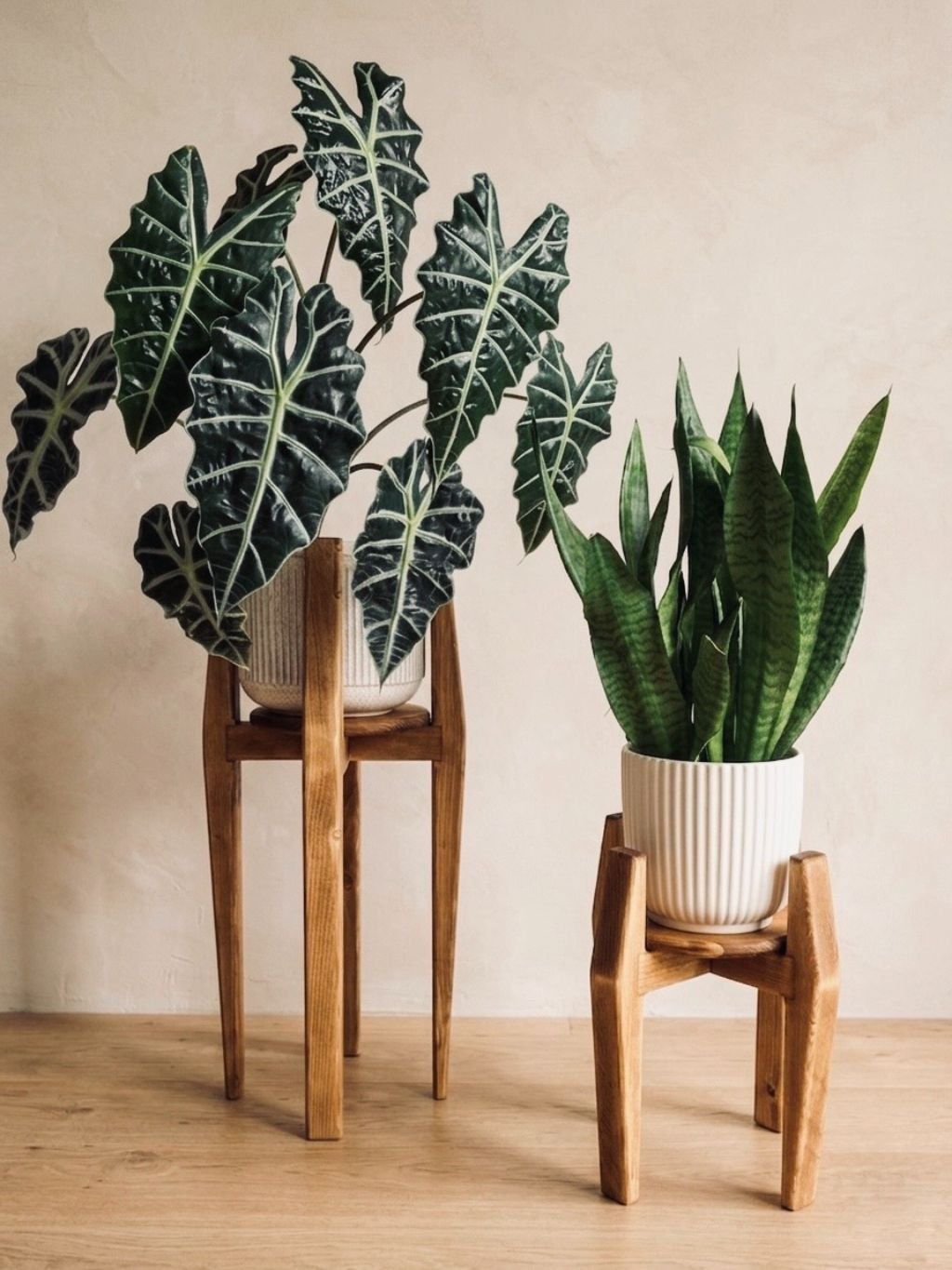 Wooden Plant Stand Set | VERTIGO DUO 360° WoodenBotanery