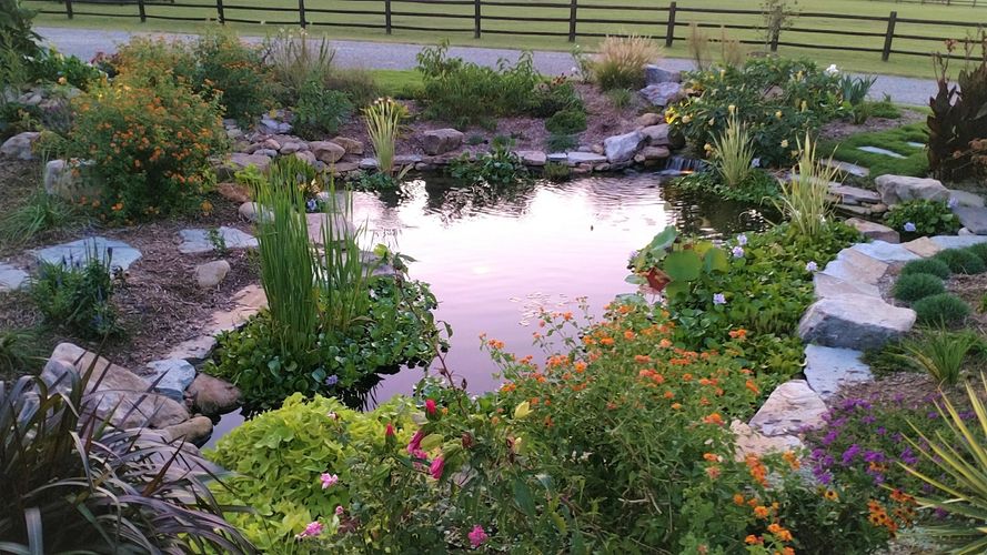 Zen Ponds and Gardens l.l.c. - Landscaping, Ponds, Backyard Design