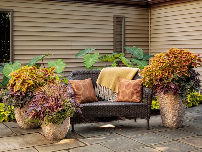 10 Tropical Garden Ideas for a Resort-Like Landscape | Garden Design