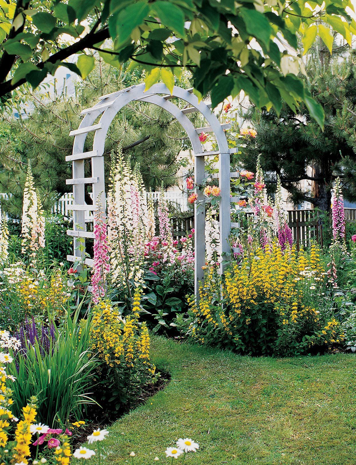 13 Rustic Arbor Ideas to Add Romantic Charm to Your Garden