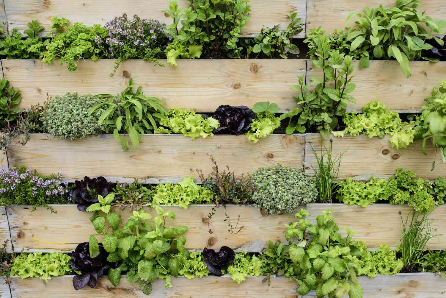 5 Ideas for Simple DIY Vertical Gardens in Small Spaces