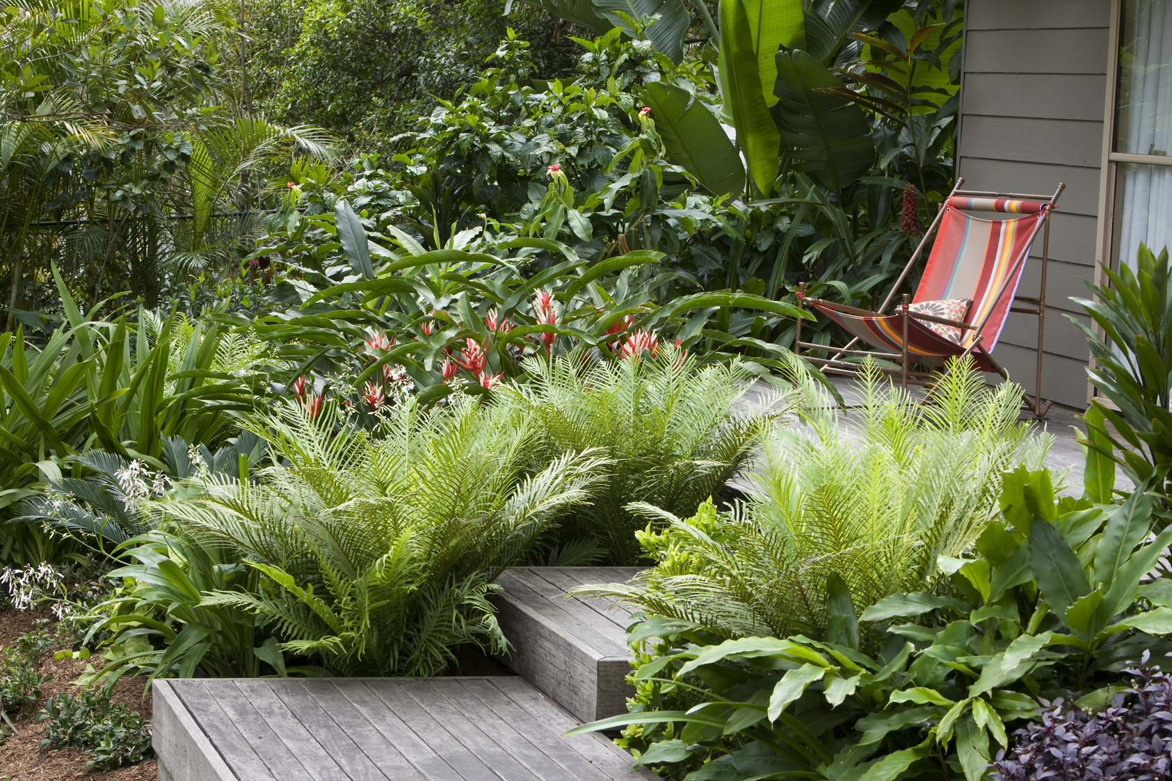 75 Most Popular 75 Beautiful Tropical Garden Ideas & Designs Design Ideas for July 2026 | Houzz NZ