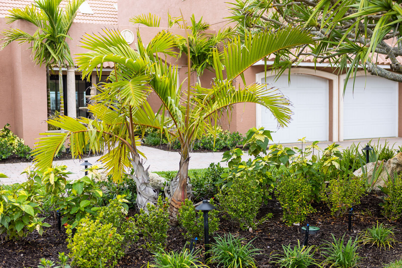 8 Pro Tips for Incorporating Tropical Plants into Your Landscape Design