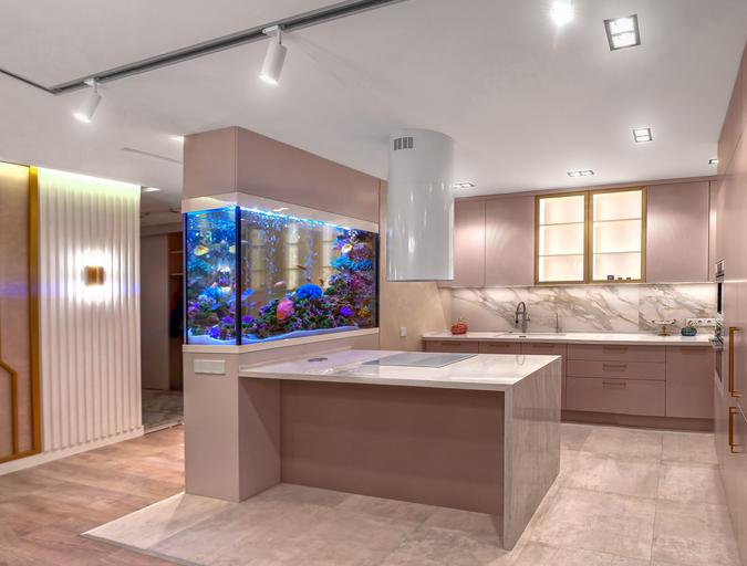 9 Unique Aquarium Designs To Incorporate Into Your Home'S Architecture