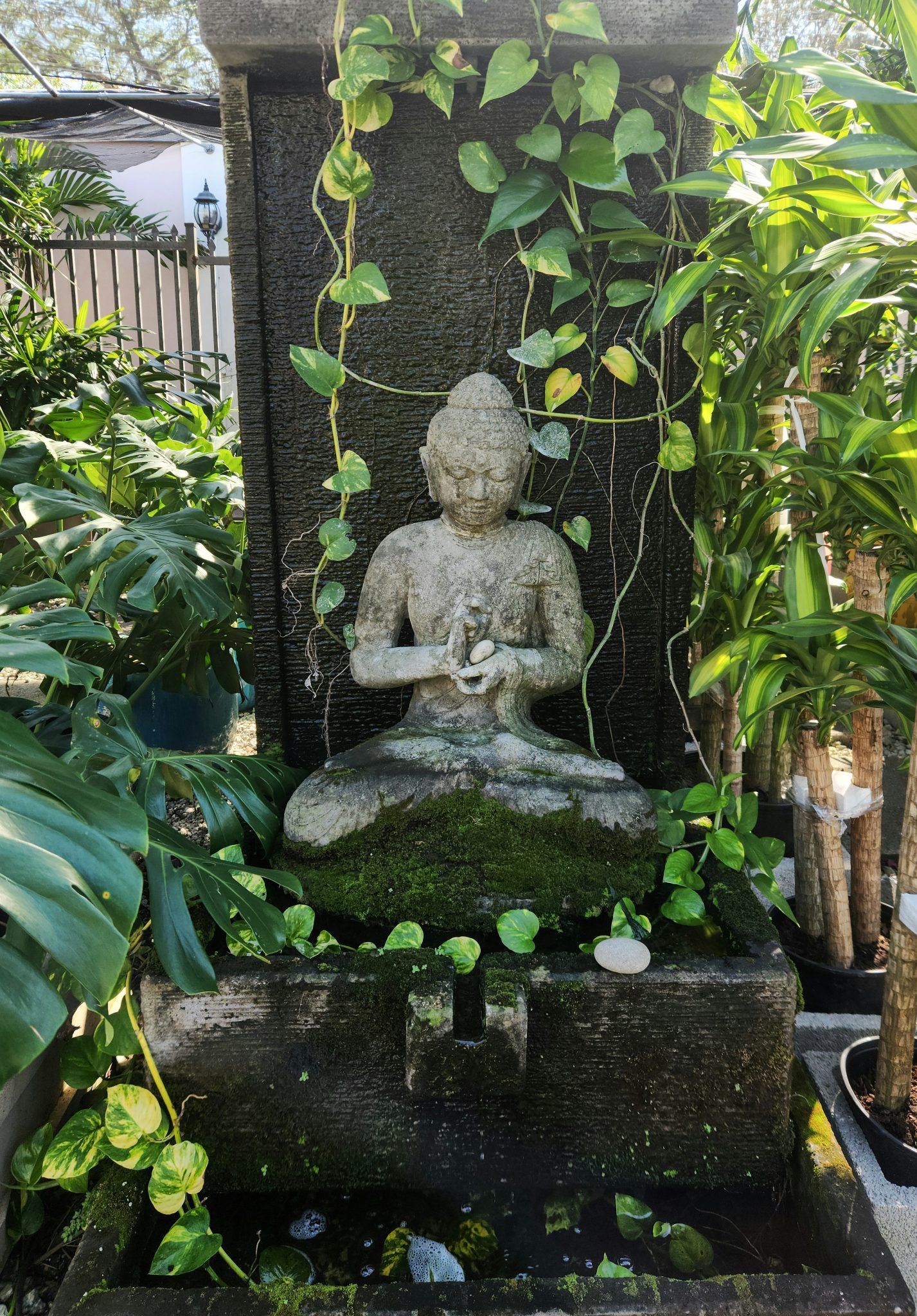 A Buddha statue placed in a garden serves as a peaceful and serene focal point, enhancing the tranquility of the space. Often made from stone, this statue symbolizes meditation, mindfulness, and spiri